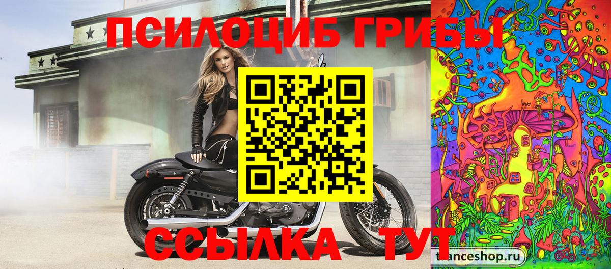 Псилоцибиновые грибы MAGIC MUSHROOMS  Вход с VPN  Краснокаменск 